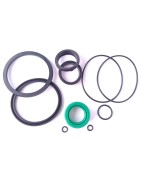 Kits Reparación Cilindros Normalizados ISO 15552 (CF)